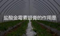 盐酸金霉素眼膏的作用是什么 使用眼膏的正确方法是什么